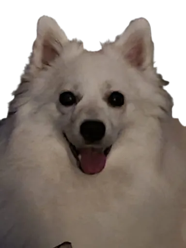 Profile Image Qira